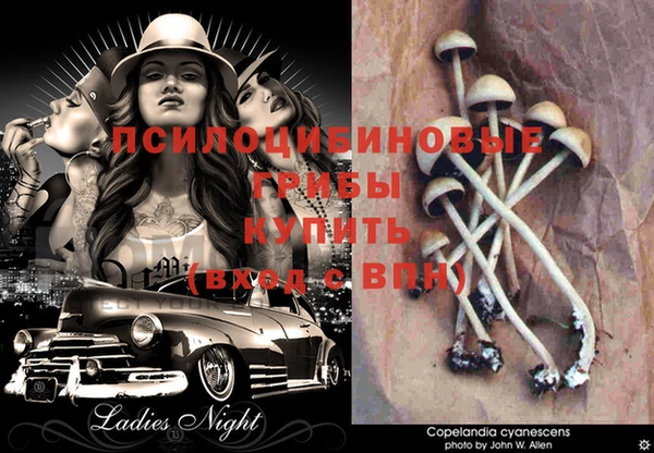 ECSTASY Балахна